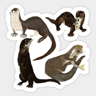 Old World otters Sticker